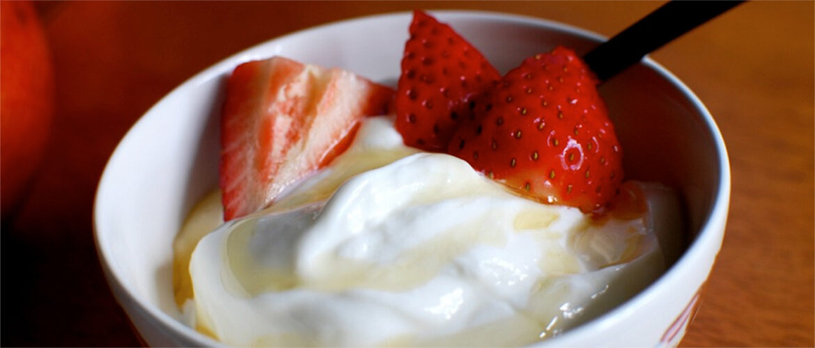 Yogurt