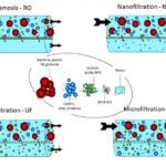 Nanofiltration (NF)