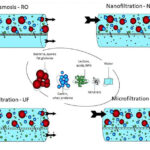 Ultrafilration (UF)